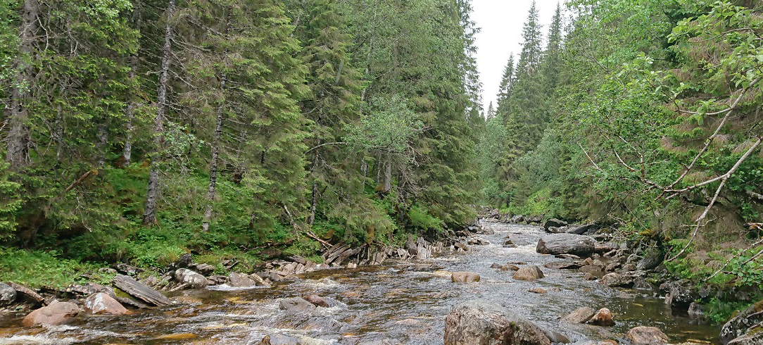 Nature Reserve